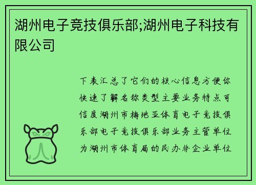 湖州电子竞技俱乐部;湖州电子科技有限公司